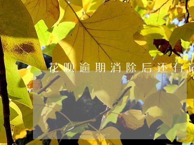 花呗逾期消除后还有记录吗 花呗逾期消除后还有记录吗