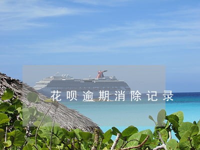 花呗逾期消除记录 花呗逾期消除记录