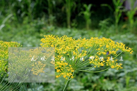 花呗逾期涉嫌哪些违法 花呗逾期涉嫌哪些违法