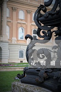 花呗逾期淘宝不能买东西了吗 花呗逾期淘宝不能买东西了吗