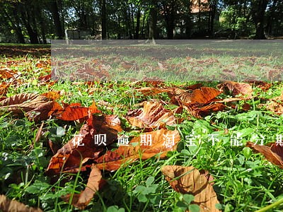花呗逾期淘宝不能分期 花呗逾期淘宝不能分期