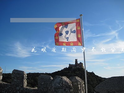 花呗逾期淘宝不能分期付款吗 花呗逾期淘宝不能分期付款吗