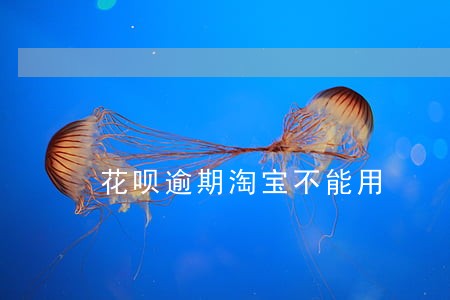花呗逾期淘宝不能用