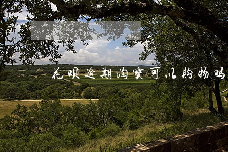 花呗逾期淘宝可以购物吗
