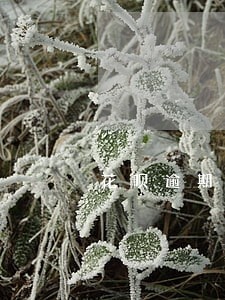 花呗逾期淘宝地址 花呗逾期淘宝地址