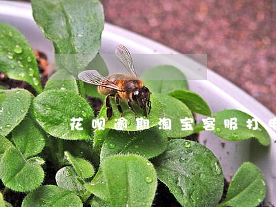 花呗逾期淘宝客服打电话 花呗逾期淘宝客服打电话