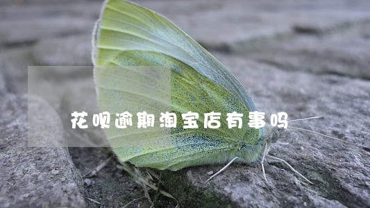 花呗逾期淘宝店有事吗 花呗逾期淘宝店有事吗