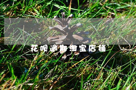 花呗逾期淘宝店铺 花呗逾期淘宝店铺