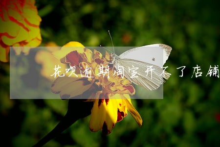 花呗逾期淘宝开不了店铺吗 花呗逾期淘宝开不了店铺吗