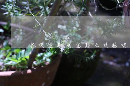 花呗逾期淘宝怎么购物呢 花呗逾期淘宝怎么购物呢