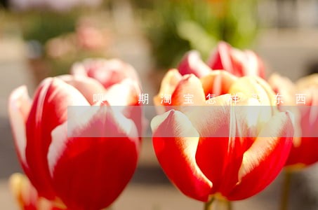 花呗逾期淘宝怎样买东西 花呗逾期淘宝怎样买东西