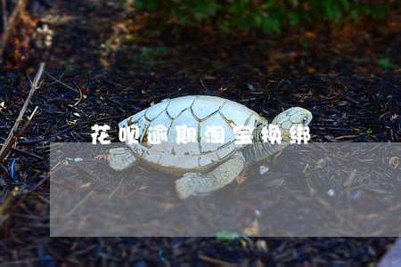 花呗逾期淘宝换绑 花呗逾期淘宝换绑