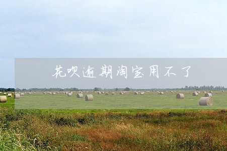 花呗逾期淘宝用不了 花呗逾期淘宝用不了