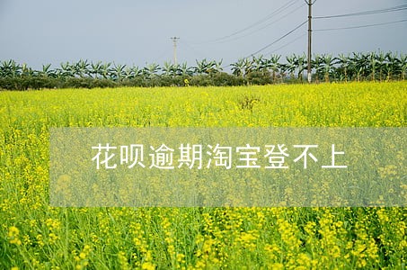 花呗逾期淘宝登不上 花呗逾期淘宝登不上