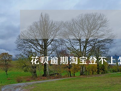 花呗逾期淘宝登不上怎么办 花呗逾期淘宝登不上怎么办