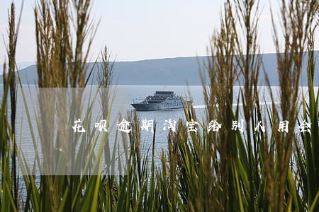 花呗逾期淘宝给别人用会打电话吗 花呗逾期淘宝给别人用会打电话吗