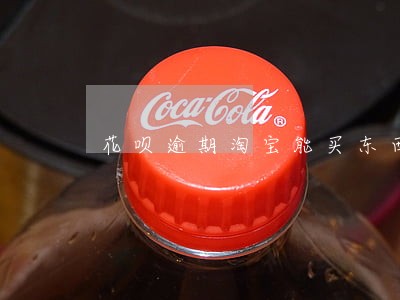 花呗逾期淘宝能买东西吗 花呗逾期淘宝能买东西吗