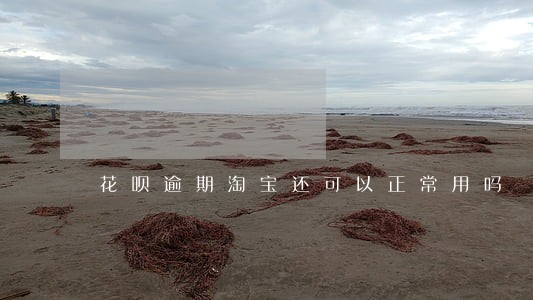 花呗逾期淘宝还可以正常用吗 花呗逾期淘宝还可以正常用吗
