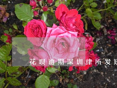花呗逾期深圳律所发短信 花呗逾期深圳律所发短信