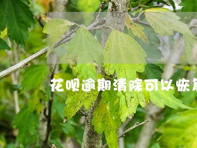 花呗逾期清除可以恢复吗 花呗逾期清除可以恢复吗