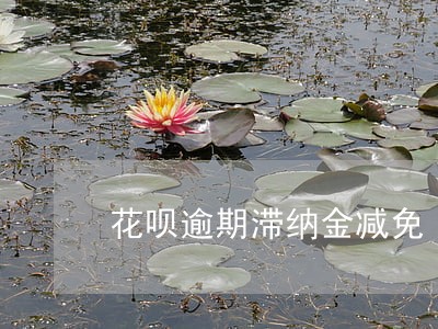 花呗逾期滞纳金减免 花呗逾期滞纳金减免