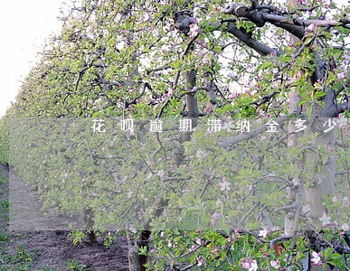 花呗逾期滞纳金多少 花呗逾期滞纳金多少