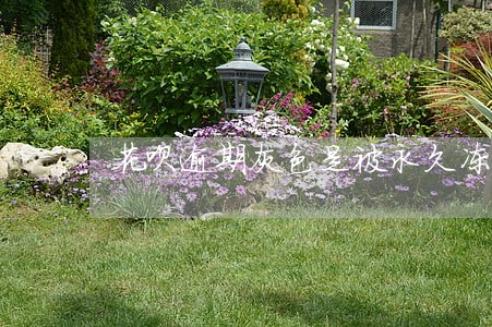花呗逾期灰色是被永久冻结么 花呗逾期灰色是被永久冻结么