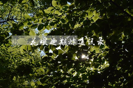 花呗逾期炸通讯录 花呗逾期炸通讯录