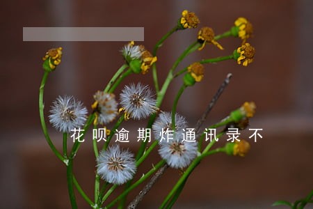 花呗逾期炸通讯录不 花呗逾期炸通讯录不