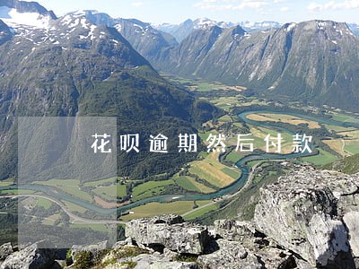 花呗逾期然后付款 花呗逾期然后付款