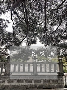 花呗逾期然后冻结了怎么办 花呗逾期然后冻结了怎么办