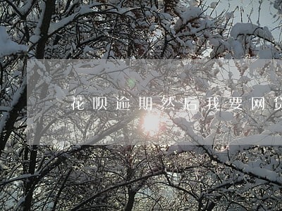 花呗逾期然后我要网贷要怎么弄 花呗逾期然后我要网贷要怎么弄