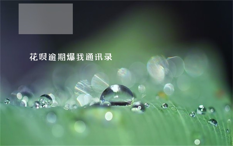 花呗逾期爆我通讯录 花呗逾期爆我通讯录