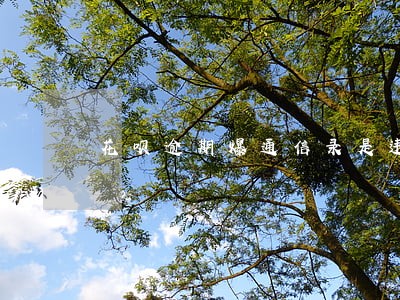 花呗逾期爆通信录是违法吗 花呗逾期爆通信录是违法吗