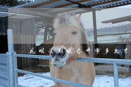 花呗逾期状态异常多久才恢复使用 花呗逾期状态异常多久才恢复使用