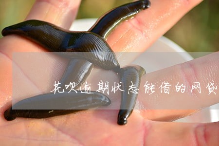花呗逾期状态能借的网贷 花呗逾期状态能借的网贷