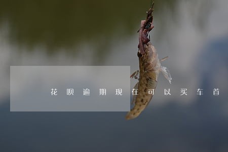 花呗逾期现在可以买车首付吗 花呗逾期现在可以买车首付吗