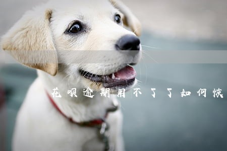 花呗逾期用不了了如何恢复 花呗逾期用不了了如何恢复