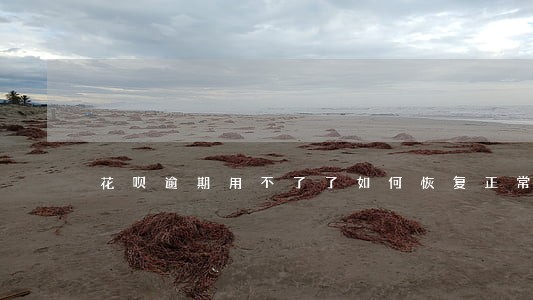 花呗逾期用不了了如何恢复正常 花呗逾期用不了了如何恢复正常