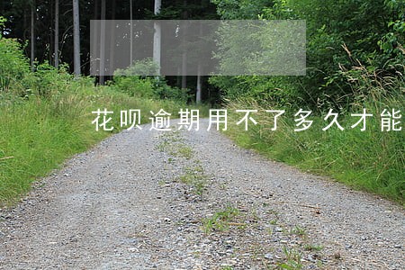 花呗逾期用不了多久才能恢复 花呗逾期用不了多久才能恢复