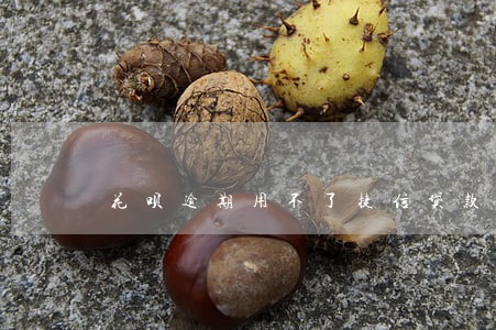 花呗逾期用不了捷信贷款了 花呗逾期用不了捷信贷款了