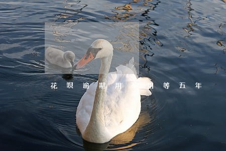 花呗逾期用不用等五年 花呗逾期用不用等五年