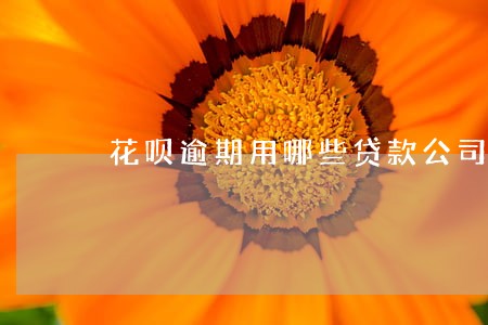 花呗逾期用哪些贷款公司 花呗逾期用哪些贷款公司