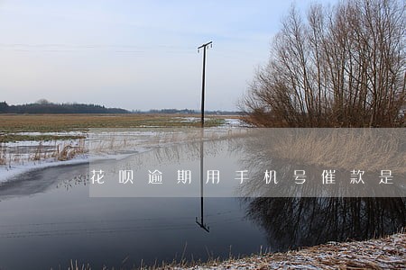 花呗逾期用手机号催款是真的吗 花呗逾期用手机号催款是真的吗