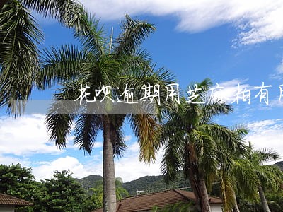 花呗逾期用芝麻粒有用吗 花呗逾期用芝麻粒有用吗