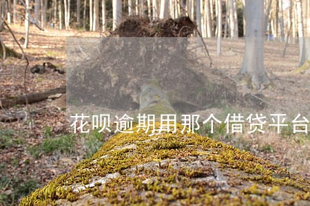 花呗逾期用那个借贷平台