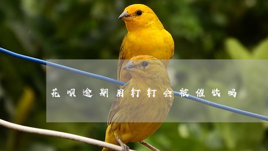 花呗逾期用钉钉会被催收吗 花呗逾期用钉钉会被催收吗