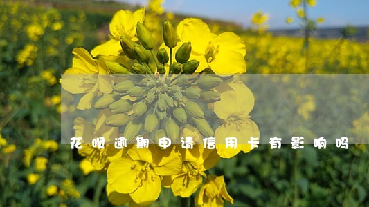 花呗逾期申请信用卡有影响吗 花呗逾期申请信用卡有影响吗