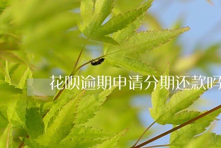 花呗逾期申请分期还款吗 花呗逾期申请分期还款吗