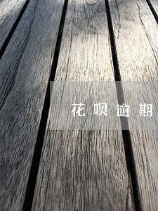 花呗逾期申请延期被拒后怎么办 花呗逾期申请延期被拒后怎么办
